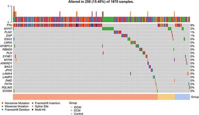 Shared Genetic Etiology of Primary Dilated Cardiomyopathy and Ischemic Dilated Cardiomyopathy